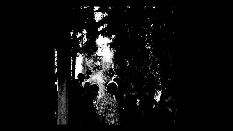 Rusted Radishes "Video essay"